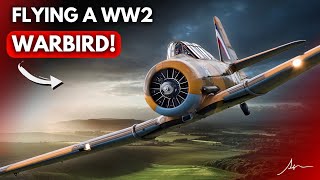 Extreme Flying In A WW2 WarBird Legend! 🦅 | The T6 Harvard 