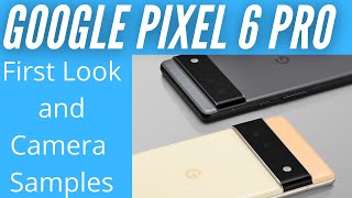 Google Pixel 6 Pro Hands On. REAL CAMERA SAMPLES