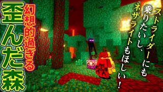 マイクラ ┃古代の残骸全員分集めるまで終われま選手権！アニキィ様だけ謎の大量GET！ #156【ぽこなかくら 2020】