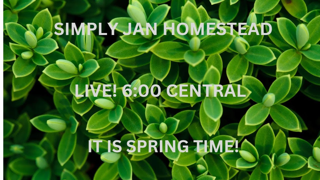 Simply Jan Homestead 6:00 Live Tonight! - YouTube