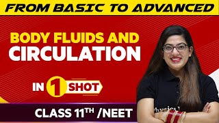 Body Fluids and Circulation In One Shot | JEE/NEET/Class 11th Boards || Victory Batch