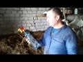 Как мы обеззараживаем грибной субстрат (As we disinfects mushroom substrate)