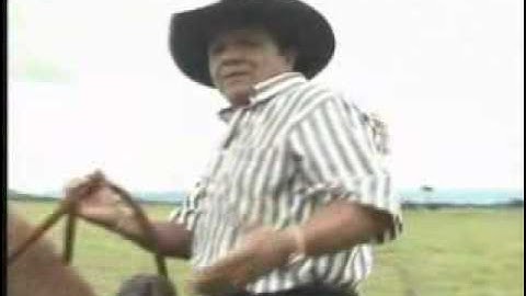 cholo valderrama- el llanerazo.flv