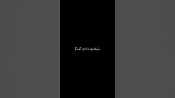 ماهر المعيقلي | سورة فصلت .