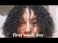 DIY STARTER MICROLOCS| First Wash Day