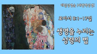 [로마서 8:1-17절] 생명을 누리는 성령의 법