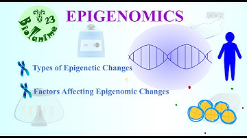 EPIGENOMICS