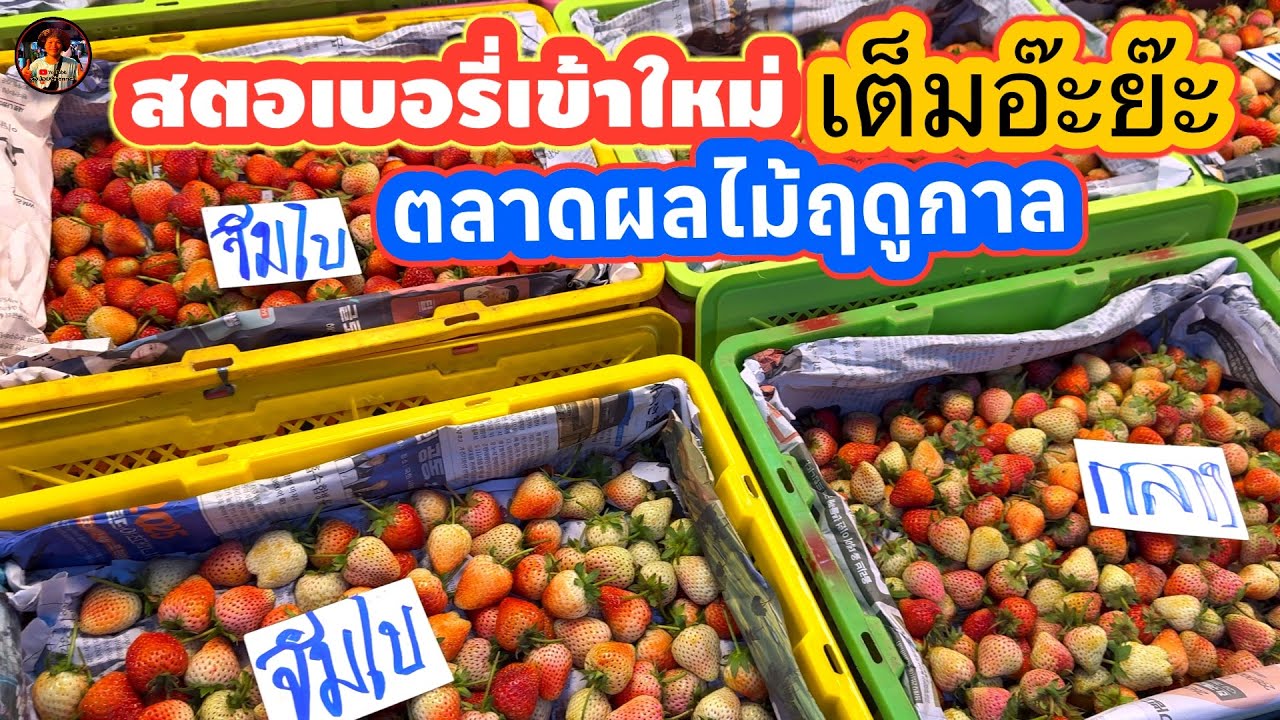 #ตลาดสตอเบอรี่#เข้าใหม่เยอะมาก#ตลาดผลไม้ฤดูกาล#ตลาดไท#อำเภอคลองหลวง#จังหวัดปทุมธานี#ลุงน้อยchannel