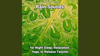 Rain Sounds Pt. 15