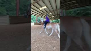 PATH Intl. Registered Therapeutic Riding Instructor (Riding Test Video)