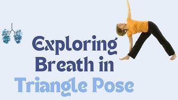 Exploring the Breath in Triangle Pose