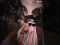 قالب كاب كات ترند يبحث عنه الجميع قالب كاب كات ترند يبحث عنه الجميع