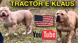 O Campeão Dos Eua Tractor E O Gigante Klaus The U.s. Tractor Champion And The Giant Klaus