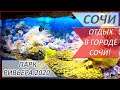 ПАРК Ривьера 2020 СОЧИ Дельфинарий ЗООПАРК Океанариум