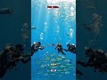 Sea Commandos Catching Fish Deep Underwater Mission 🤿🐟#seacommandos #aivideo #deepsea #aivideo