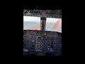 Boeing 737 Classic - massive birdstrike during landing