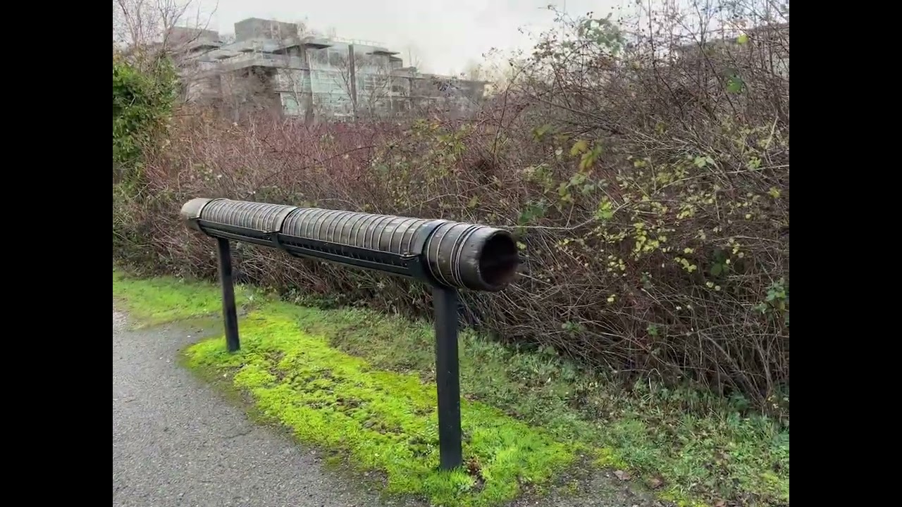Crossing the Selkirk Trestle Bridge. - Victoria B.C.