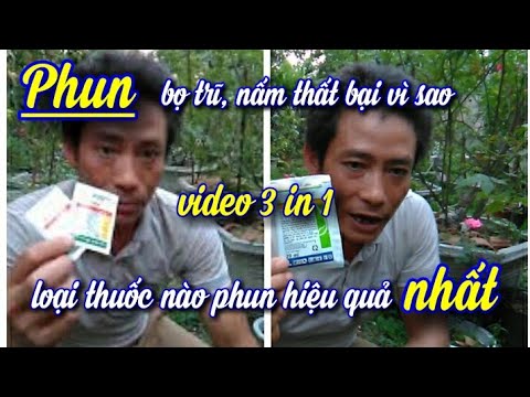 Video Cách phun bọ trĩ nấm mạt gà hiệu quả nhất bạn chưa biết - youtube