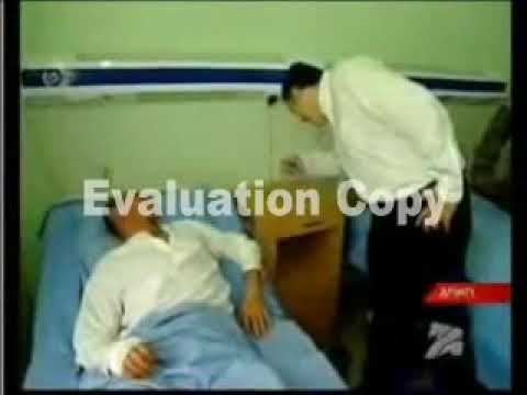 ტყუპები არიან