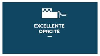 Evolutex 2En1 De Seigneurie Une Finition Optimale En 2 Couches Seulement
