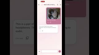 Lilly — An offline AI assistant that gives sight to the unseen. Setup + Live demo