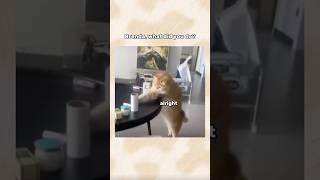 When The Table Stops Working