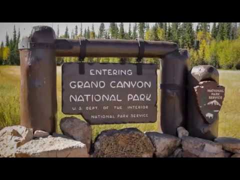 Grand Canyon north rim, Vermilion Cliffs, Marble Canyon - USA road trip #19