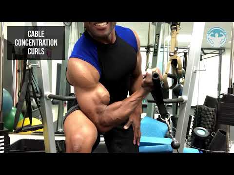 BICEPS DAY! - CABLE CONCENTRATION CURLS!