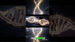 God’s Signature In Your DNA Code 10565