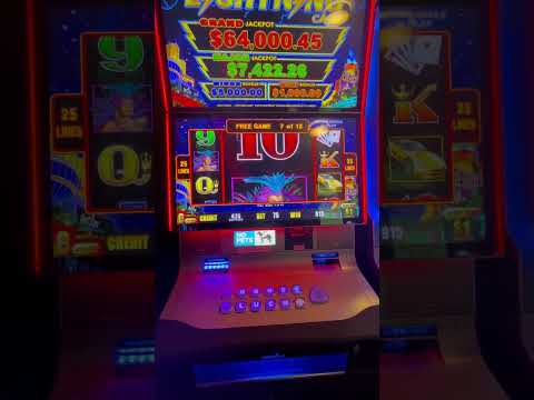 SpinPanda Online Casino: Geniet van Onze Casinospellen in het Nederlands