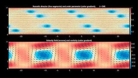Exact Coherent Structure in 2D active nematic channel flow: Period Orbit