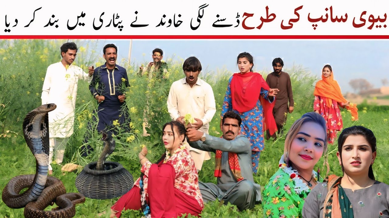 Nagin Lady | Bhootna, Sundari, Jagga,  Jatti, Chuppi Jutt, Chan, Chutki, Dhollan,Funny...