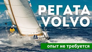 Регата VOLVO - для новичков в парусе | Опыт для участия не требуется | Яхтинг с Михаилом Савельевым