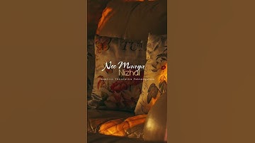 Thumbnail of Nee Maaya Nizhal🍃Hi nanna🦋