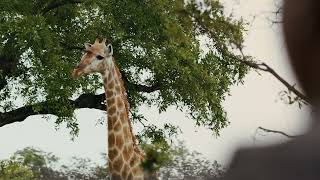 Weddings and Celebrations at Ulusaba Private Game Reserve | South Africa | Virgin Limited Edition
