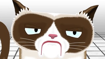 Grumpy Cat