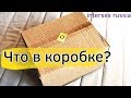 ЧТО В КОРОБКЕ?? | Intersex Russia