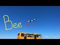 Посадка самолёта Belavia в аэропорту города Гомеля | Landing at International Airport Gomel | B737