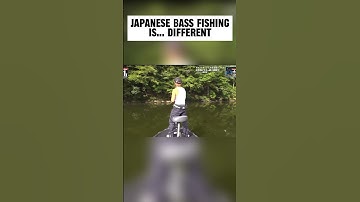 Japanese bass fishing is… awesome. Basser Limit 1 is so good! #bassfishing #fishing