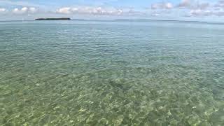 Jan 11 2026 Pigeon Key 