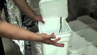 Mortgage Lifter Grow Tent Hydro Part 2 Mortgage Lifter Grow Tent Hydro Part 2
