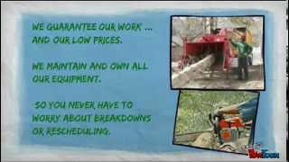 Tree Removal Baltimore, MD | Tree Services Baltimore, MD | Discount Tree Services | 443-341-4400