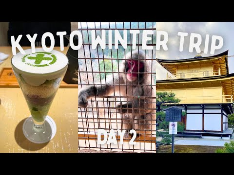 Kyoto Winter Travel Day 2 🐵 2-day Itinerary (2024)