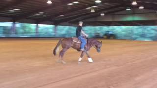 Magnafox