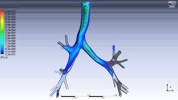 CFD through healthy lung airway - Eddy viscosity inside trachea