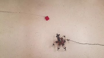 Vision-Based Object Tracking for a Hexapod Robot with Neck - RICS Lab (Lamar University)