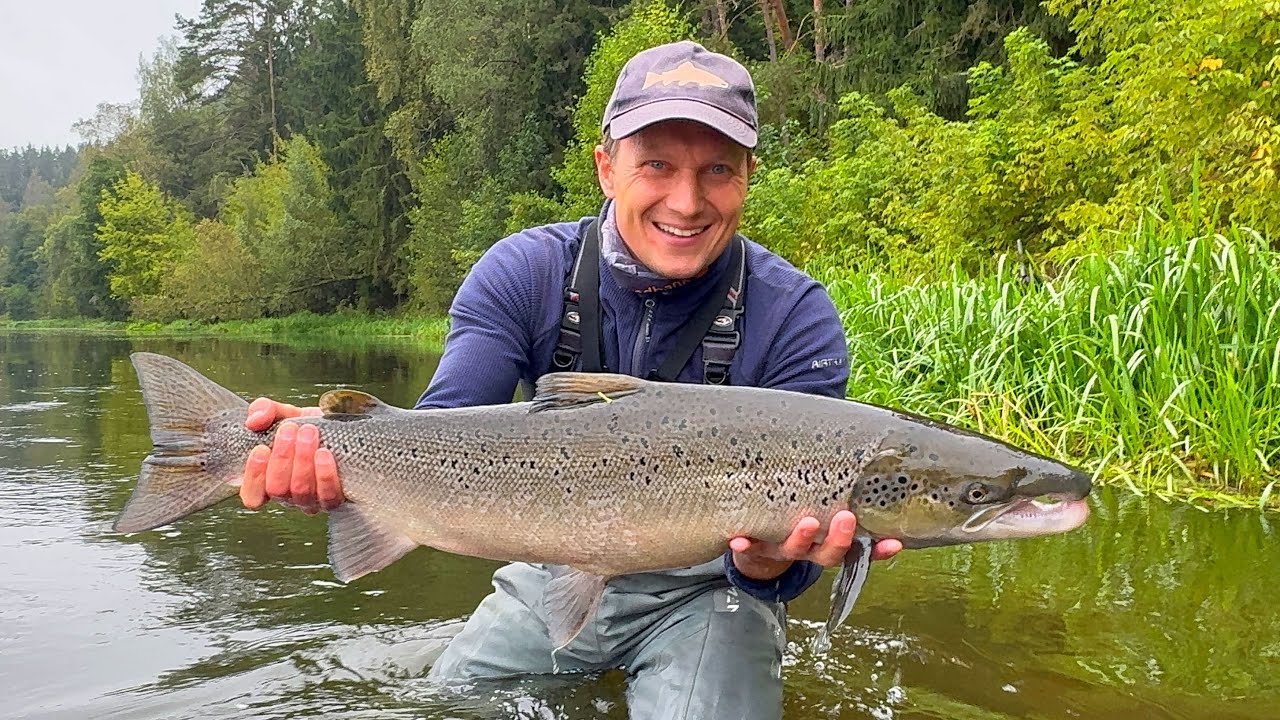 Lašišų žvejyba 2025 ruduo | Salmon fishing in Lithuania, Neris