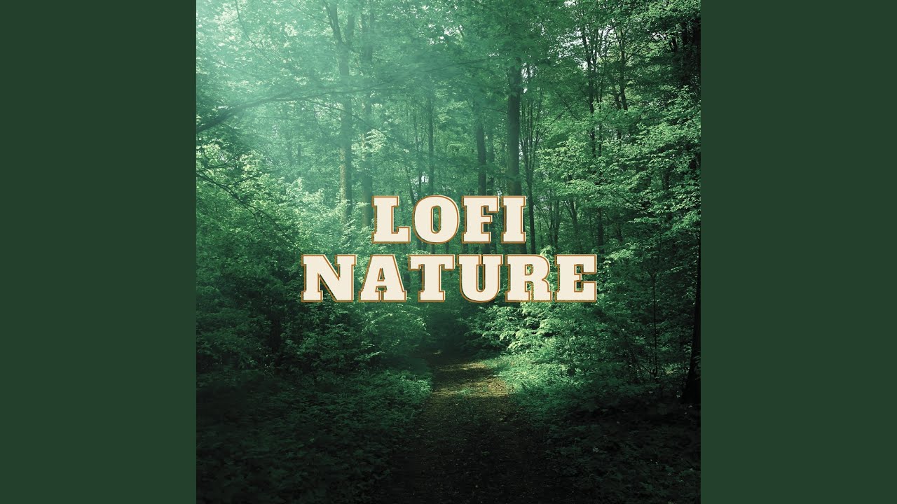 Watch The Root on YouTube Watch The Root on YouTube