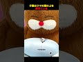 子猫は、ぬいぐるみのクマの頭の上に登ることを夢見ている！