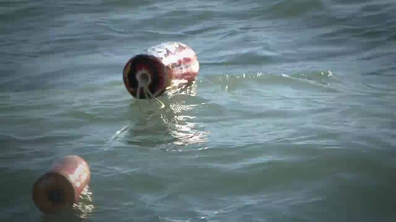 Squamish_Harbour_Boat_Rentals YouTube